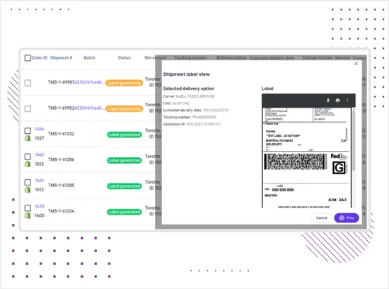 Transport Management System Case Study | WebMagic Agency